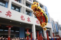醒狮贺岁，IM官方版网站登录入口-IM(中国)2019年开工大吉