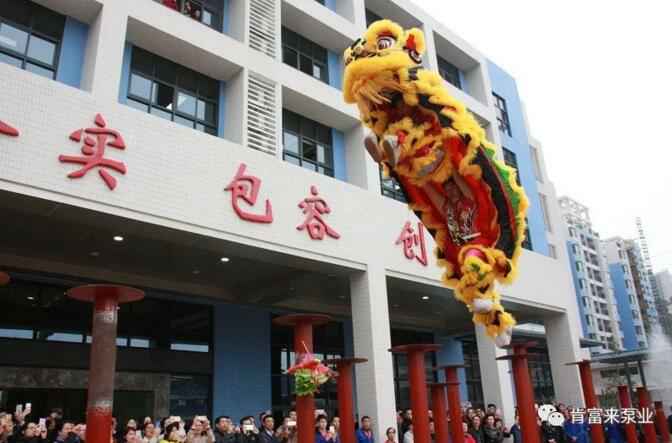 醒狮贺岁,IM官方版网站登录入口-IM(中国)2019年开工大吉