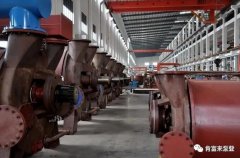 IM官方版网站登录入口-IM(中国)被评为2019年度三水区骨干企业